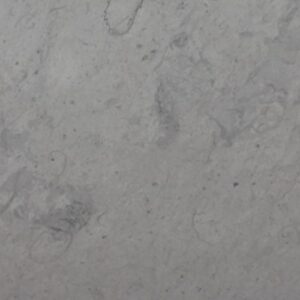 Thala Grey