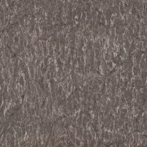 Coastal Grey Caesarstone Bänkskiva