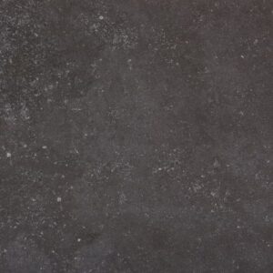 Fossil